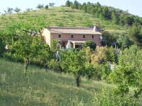 Bodega Palanque